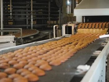 تولید کیک به روش صنعتی